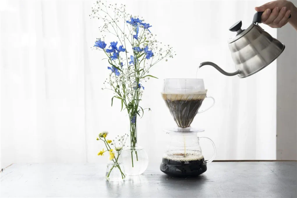 Hario V60 Drip Assist