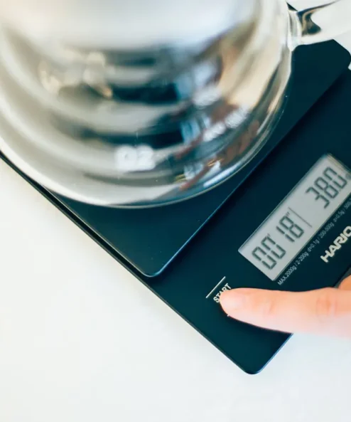 Hario V60 Drip Tartısı