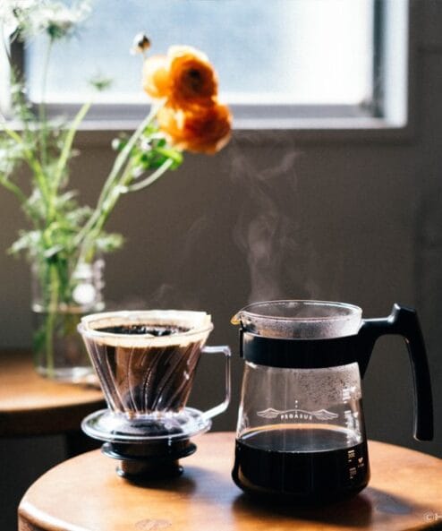 Hario Pegasus 02 Dripper